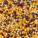 Amish Country Popcorn Rainbow 4 oz