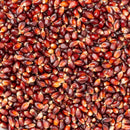 Amish Country Popcorn Red 4 oz