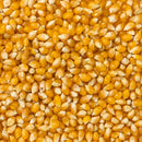 Amish Country Popcorn Yellow 4 oz