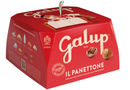 Galup Traditional Panettone with Hazelnut Frosting 100 g