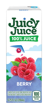 Juicy Juice Berry 100% Juice 6.75 fl.oz